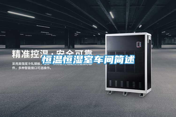 恒溫恒濕室車間簡(jiǎn)述