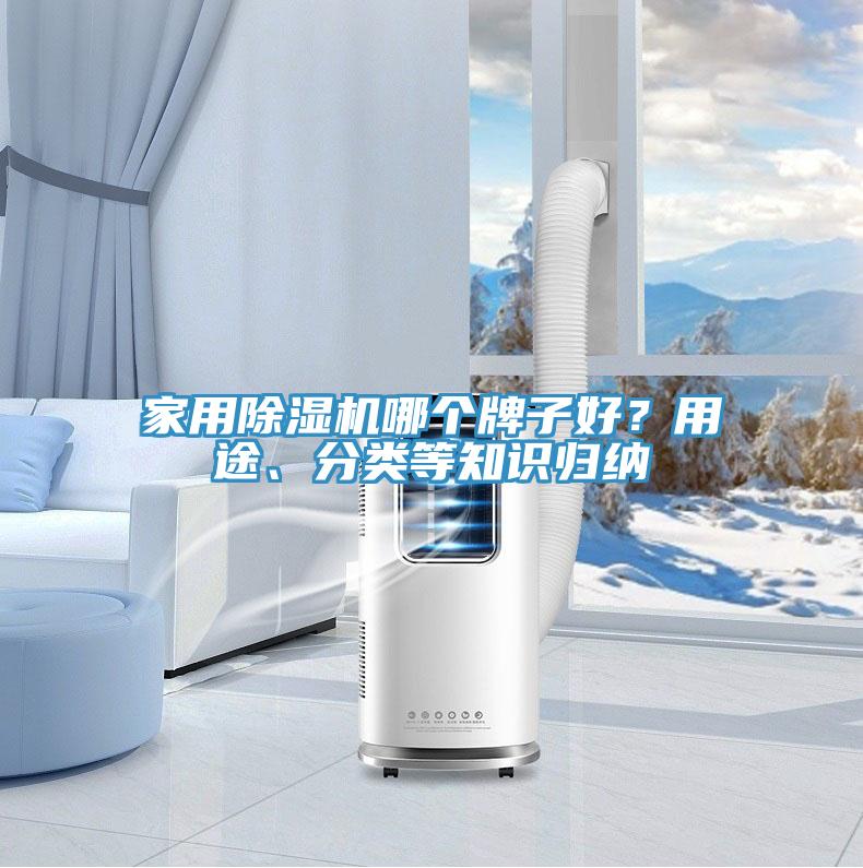 家用除濕機哪個牌子好？用途、分類等知識歸納