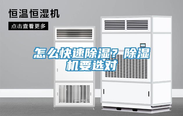 怎么快速除濕？除濕機(jī)要選對(duì)