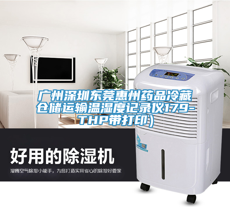 廣州深圳東莞惠州藥品冷藏倉儲運輸溫濕度記錄儀179-THP帶打?。?></div>
								<div   id=