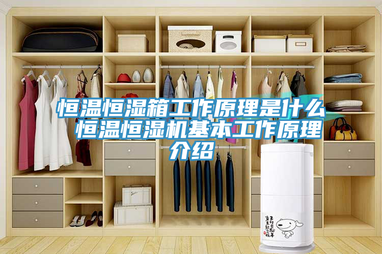 恒溫恒濕箱工作原理是什么 恒溫恒濕機基本工作原理介紹
