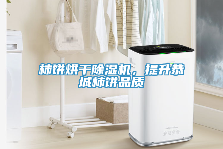 柿餅烘干除濕機，提升恭城柿餅品質(zhì)