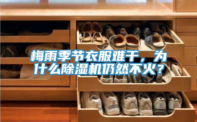 梅雨季節(jié)衣服難干，為什么除濕機(jī)仍然不火？