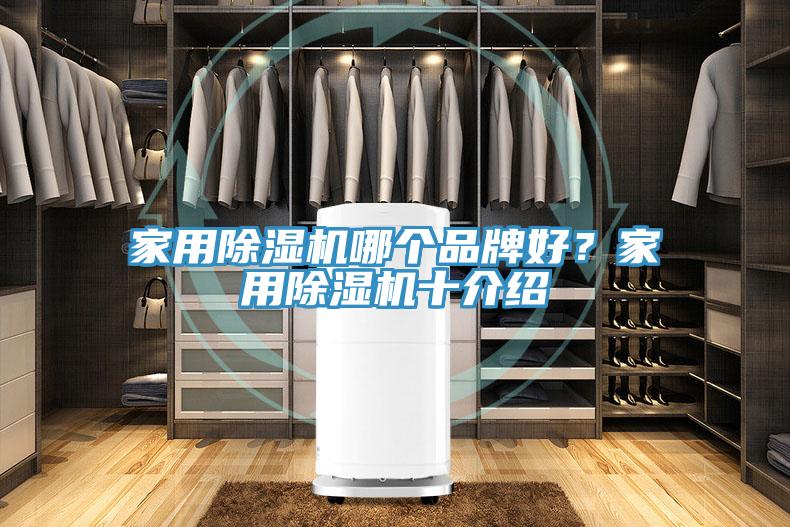 家用除濕機(jī)哪個(gè)品牌好？家用除濕機(jī)十介紹