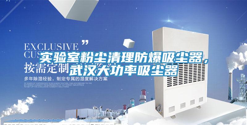 實(shí)驗(yàn)室粉塵清理防爆吸塵器，武漢大功率吸塵器