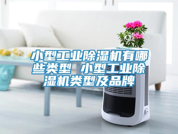 小型工業(yè)除濕機(jī)有哪些類型 小型工業(yè)除濕機(jī)類型及品牌