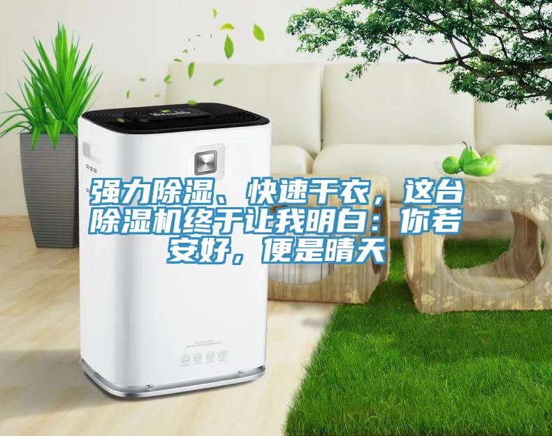 強(qiáng)力除濕、快速干衣，這臺(tái)除濕機(jī)終于讓我明白：你若安好，便是晴天
