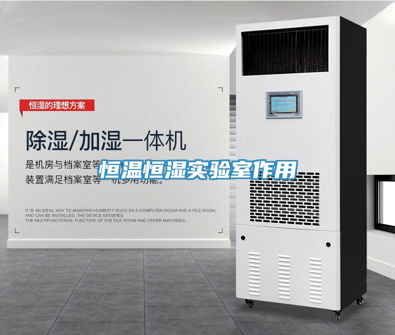 恒溫恒濕實(shí)驗(yàn)室作用
