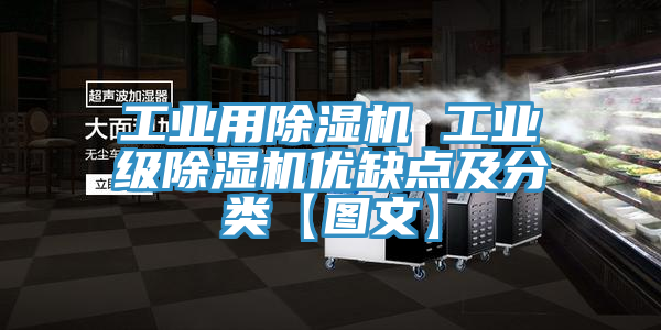 工業(yè)用除濕機(jī) 工業(yè)級除濕機(jī)優(yōu)缺點(diǎn)及分類【圖文】