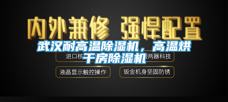 武漢耐高溫除濕機(jī)，高溫烘干房除濕機(jī)