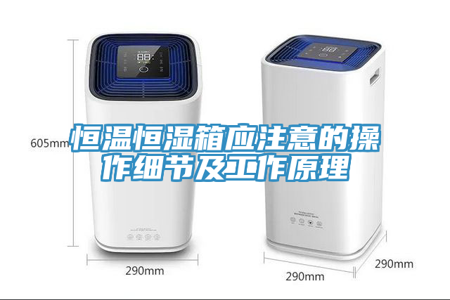 恒溫恒濕箱應注意的操作細節(jié)及工作原理
