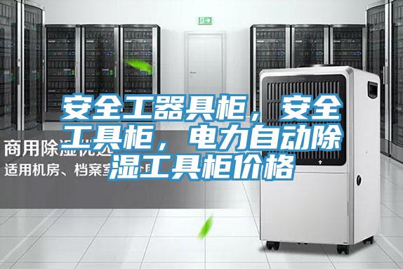 安全工器具柜，安全工具柜，電力自動除濕工具柜價格