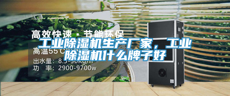 工業(yè)除濕機(jī)生產(chǎn)廠家，工業(yè)除濕機(jī)什么牌子好
