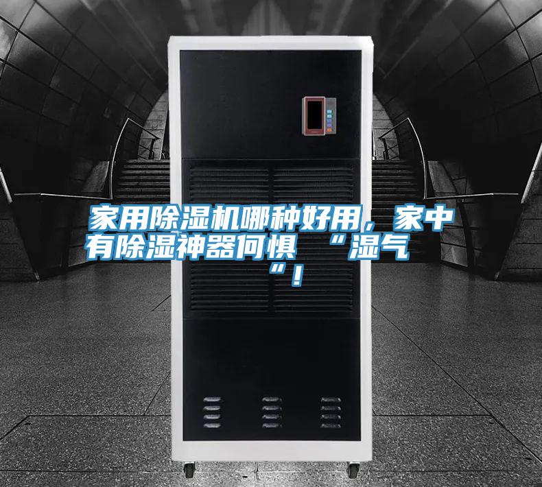 家用除濕機(jī)哪種好用，家中有除濕神器何懼 “濕氣 “！