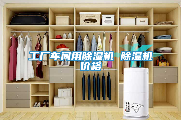工廠(chǎng)車(chē)間用除濕機(jī) 除濕機(jī)價(jià)格