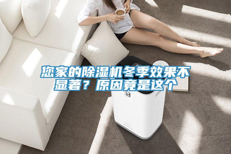 您家的除濕機(jī)冬季效果不顯著？原因竟是這個(gè)