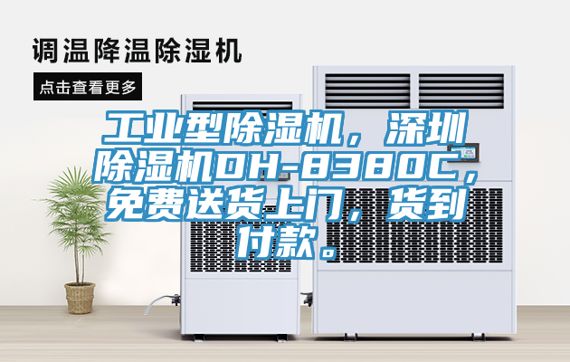 工業(yè)型除濕機(jī)，深圳除濕機(jī)DH-8380C，免費(fèi)送貨上門，貨到付款。