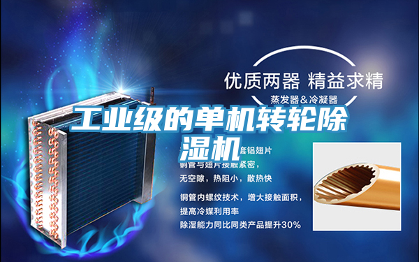 工業(yè)級的單機轉(zhuǎn)輪除濕機