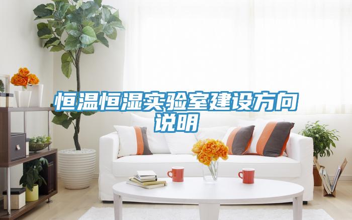 恒溫恒濕實驗室建設(shè)方向說明