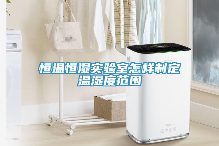 恒溫恒濕實驗室怎樣制定溫濕度范圍