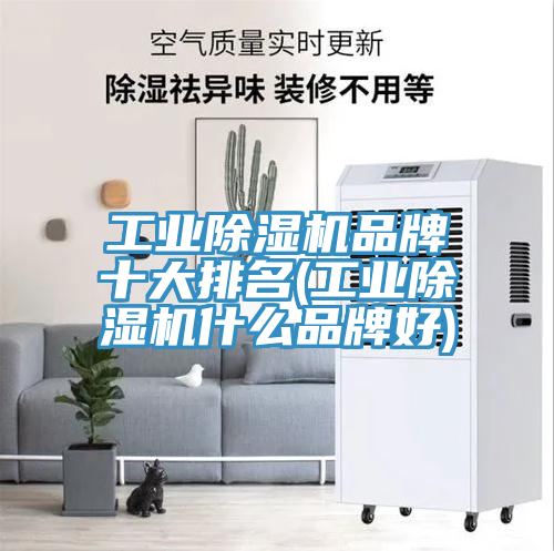 工業(yè)除濕機(jī)品牌十大排名(工業(yè)除濕機(jī)什么品牌好)