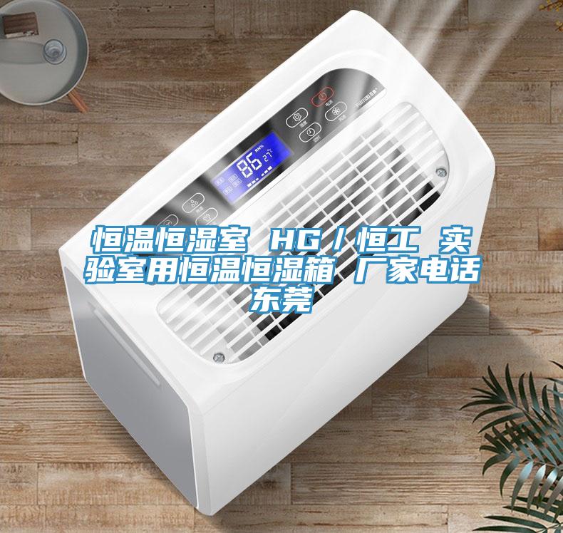 恒溫恒濕室 HG／恒工 實驗室用恒溫恒濕箱 廠家電話東莞