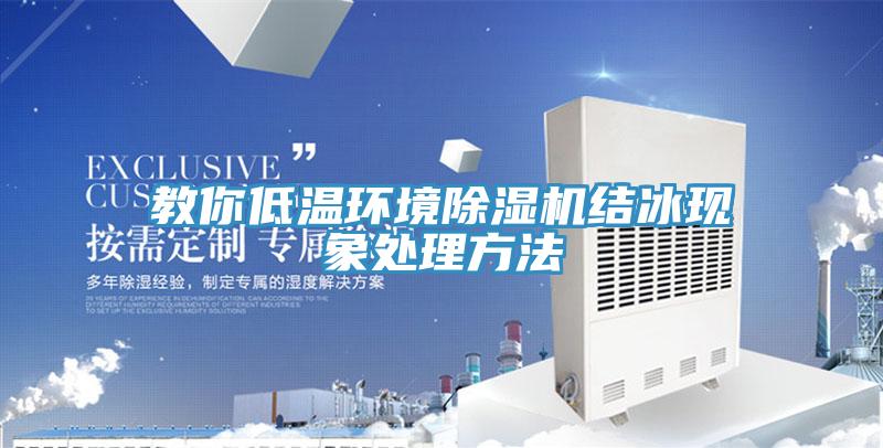 教你低溫環(huán)境除濕機結(jié)冰現(xiàn)象處理方法