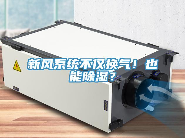 新風(fēng)系統(tǒng)不僅換氣！也能除濕？