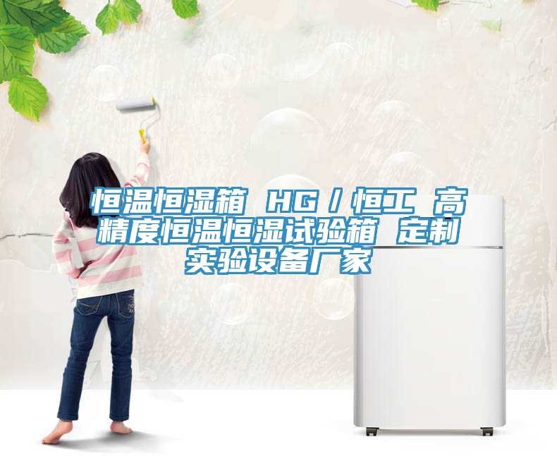 恒溫恒濕箱 HG／恒工 高精度恒溫恒濕試驗箱 定制實驗設備廠家