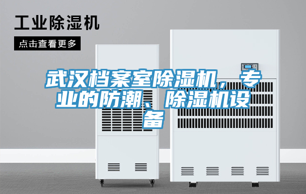 武漢檔案室除濕機(jī)，專業(yè)的防潮、除濕機(jī)設(shè)備
