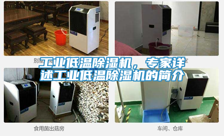 工業(yè)低溫除濕機(jī)，專家詳述工業(yè)低溫除濕機(jī)的簡(jiǎn)介
