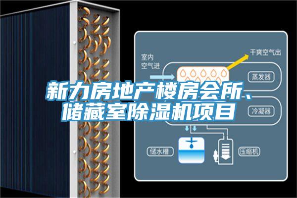 新力房地產(chǎn)樓房會(huì)所、儲(chǔ)藏室除濕機(jī)項(xiàng)目