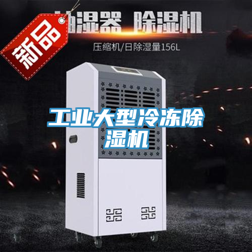 工業(yè)大型冷凍除濕機(jī)