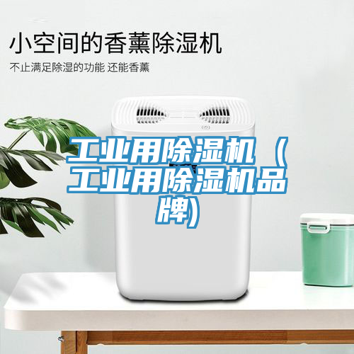 工業(yè)用除濕機(jī) (工業(yè)用除濕機(jī)品牌)