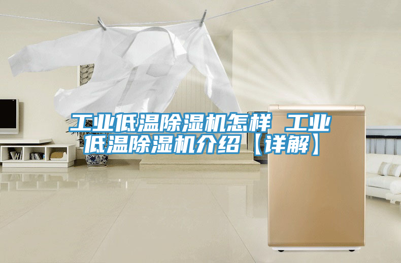 工業(yè)低溫除濕機(jī)怎樣 工業(yè)低溫除濕機(jī)介紹【詳解】