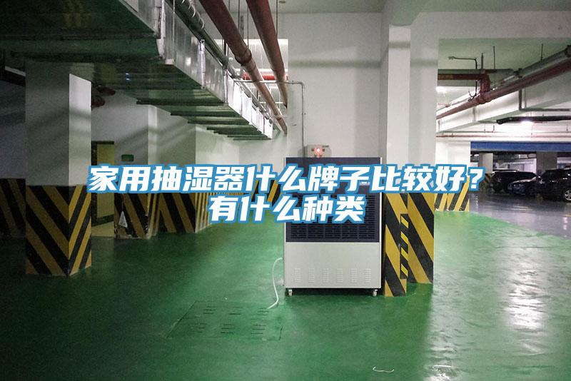 家用抽濕器什么牌子比較好？有什么種類