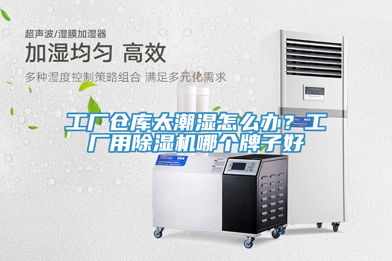 工廠倉庫太潮濕怎么辦？工廠用除濕機(jī)哪個牌子好