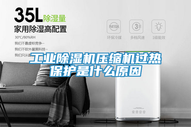 工業(yè)除濕機壓縮機過熱保護是什么原因