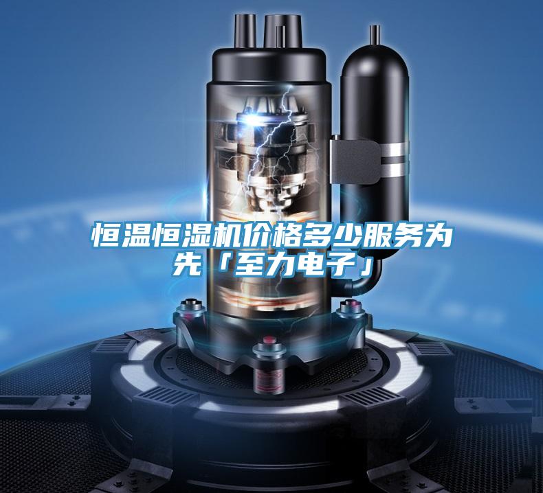 恒溫恒濕機(jī)價格多少服務(wù)為先「至力電子」