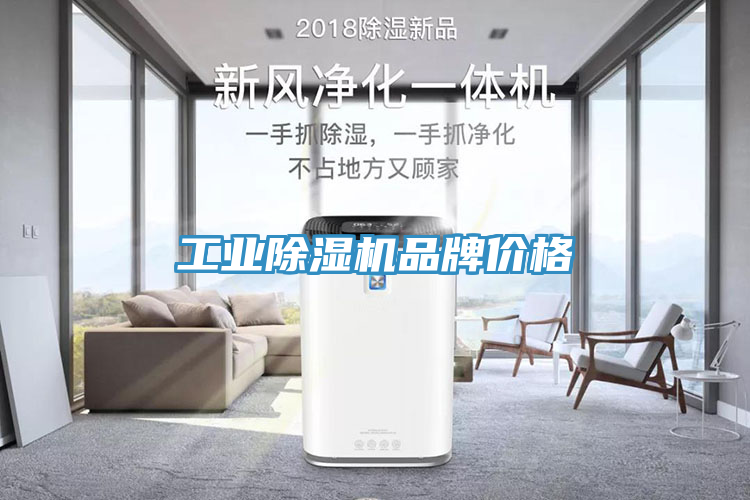 工業(yè)除濕機(jī)品牌價(jià)格