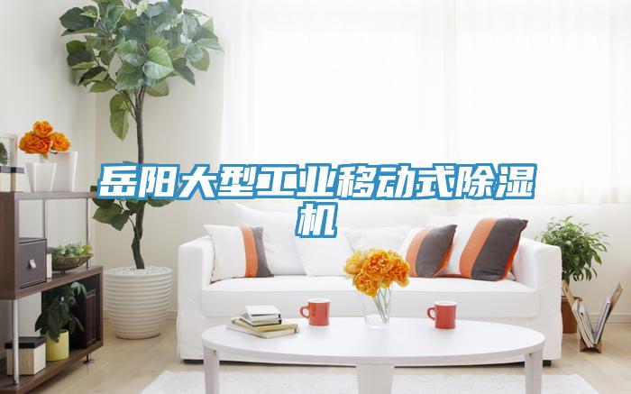 岳陽大型工業(yè)移動(dòng)式除濕機(jī)