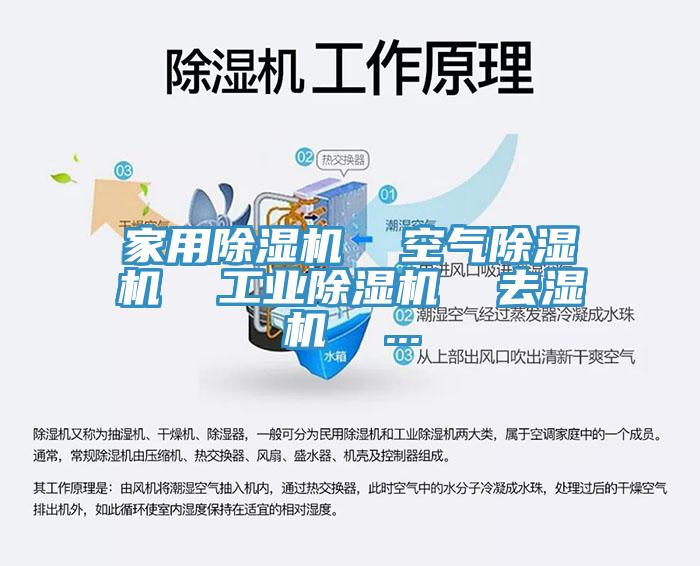 家用除濕機(jī)  空氣除濕機(jī)  工業(yè)除濕機(jī)  去濕機(jī)  ...
