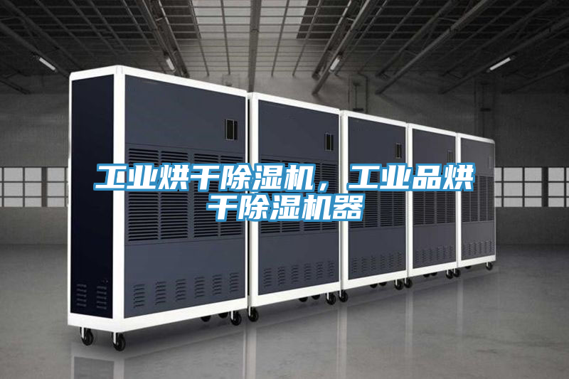 工業(yè)烘干除濕機，工業(yè)品烘干除濕機器