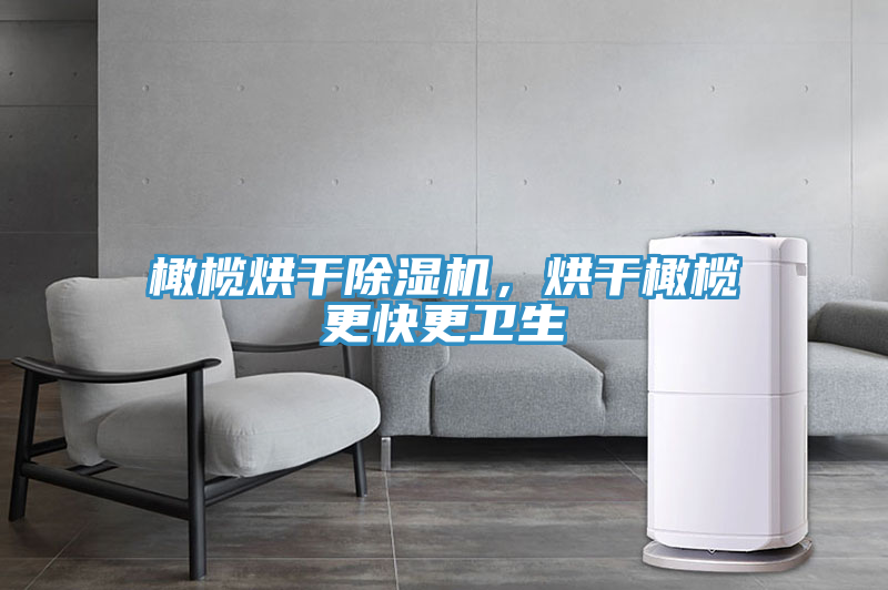 橄欖烘干除濕機(jī)，烘干橄欖更快更衛(wèi)生