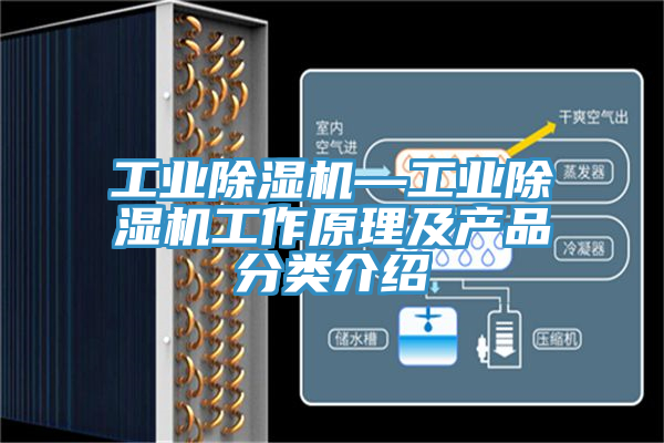 工業(yè)除濕機(jī)—工業(yè)除濕機(jī)工作原理及產(chǎn)品分類(lèi)介紹