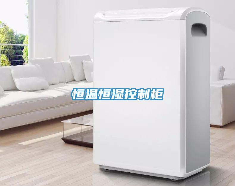 恒溫恒濕控制柜
