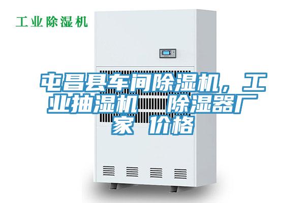 屯昌縣車間除濕機，工業(yè)抽濕機  除濕器廠家 價格
