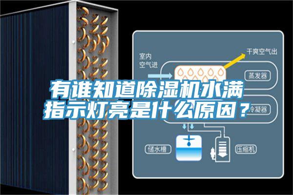 有誰知道除濕機水滿指示燈亮是什么原因？