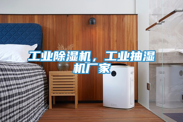 工業(yè)除濕機(jī)，工業(yè)抽濕機(jī)廠家
