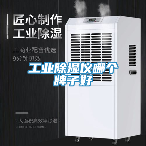 工業(yè)除濕儀哪個牌子好